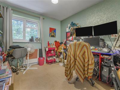 Picture 7